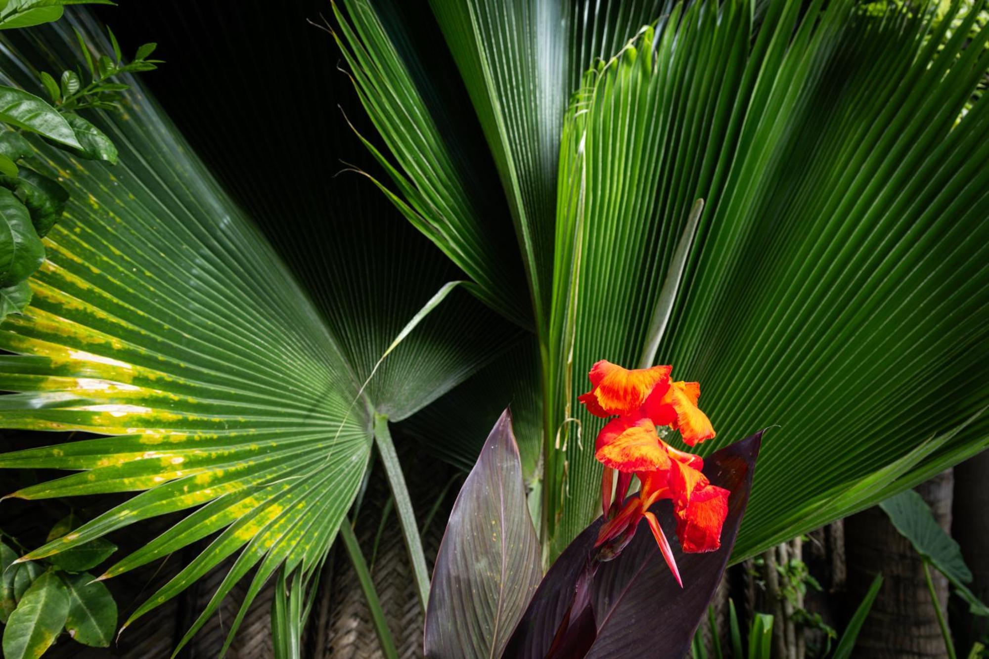 Pili Pili Palm Beach Jambiani  Extérieur photo