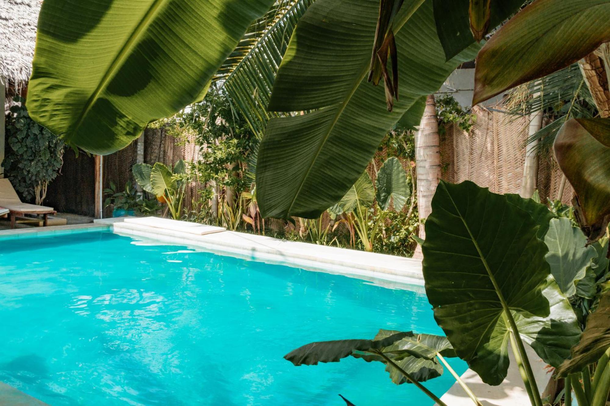 Pili Pili Palm Beach Jambiani  Extérieur photo