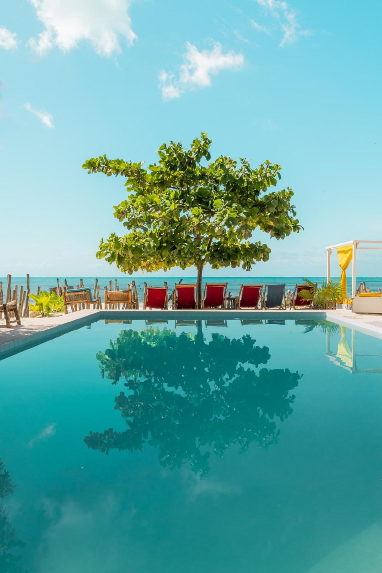 Pili Pili Palm Beach Jambiani  Extérieur photo