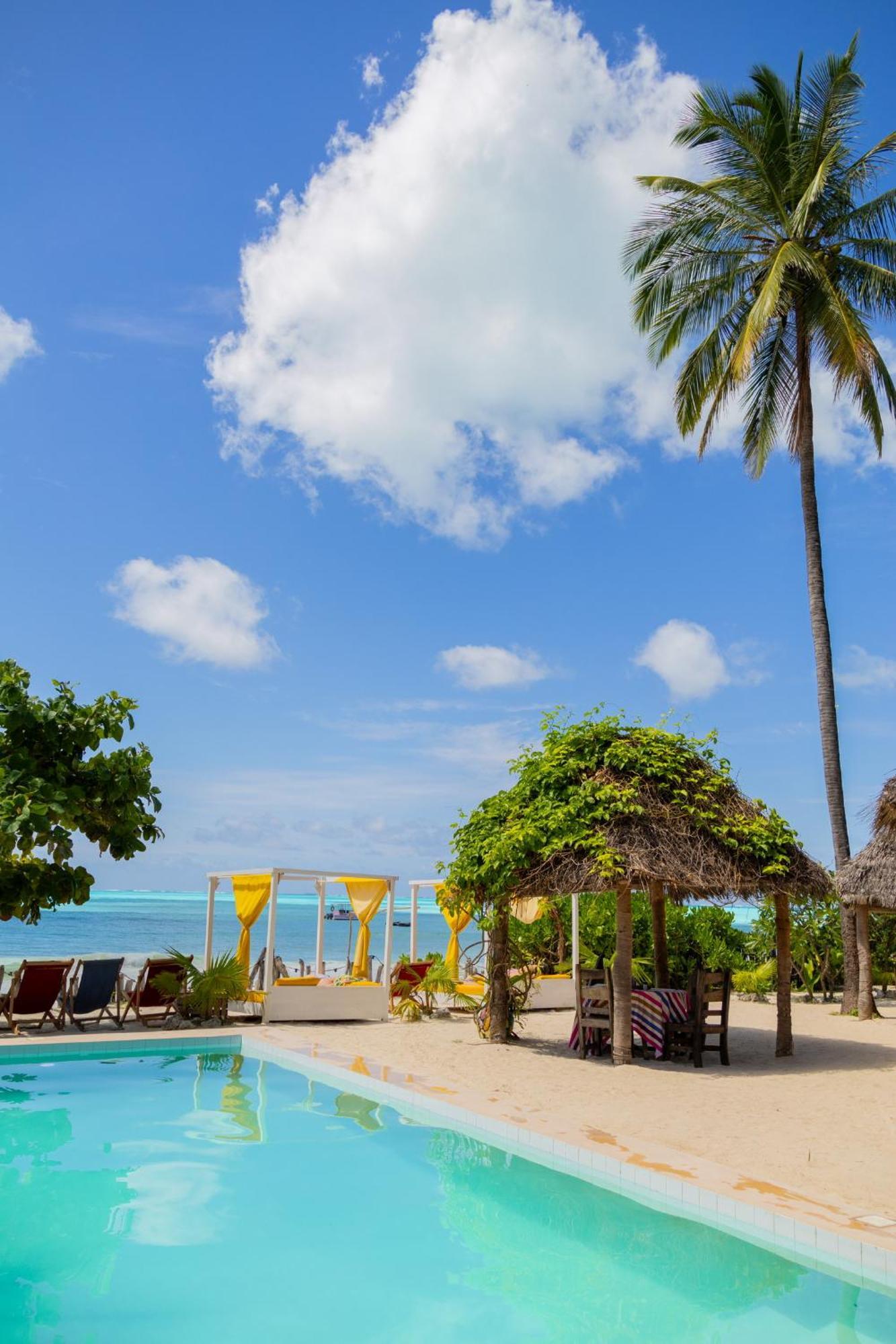 Pili Pili Palm Beach Jambiani  Extérieur photo