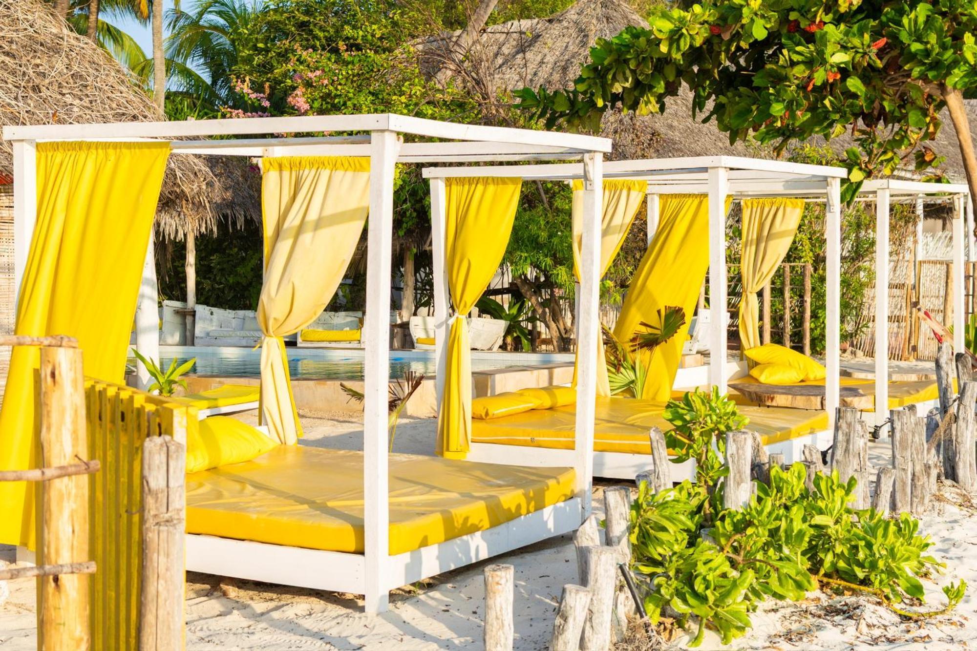 Pili Pili Palm Beach Jambiani  Extérieur photo